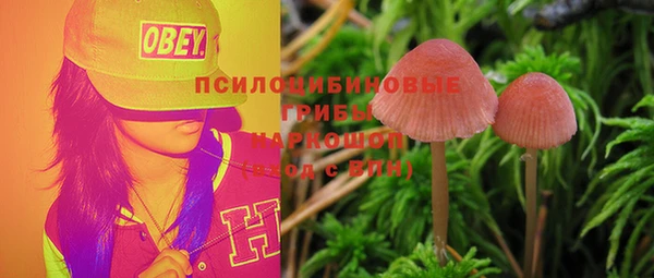 молекула духа Алексин